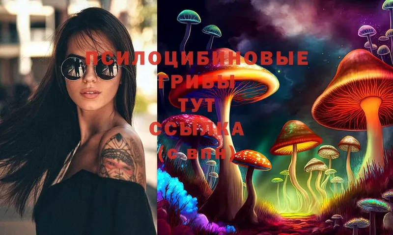 Псилоцибиновые грибы Psilocybe  Городец 